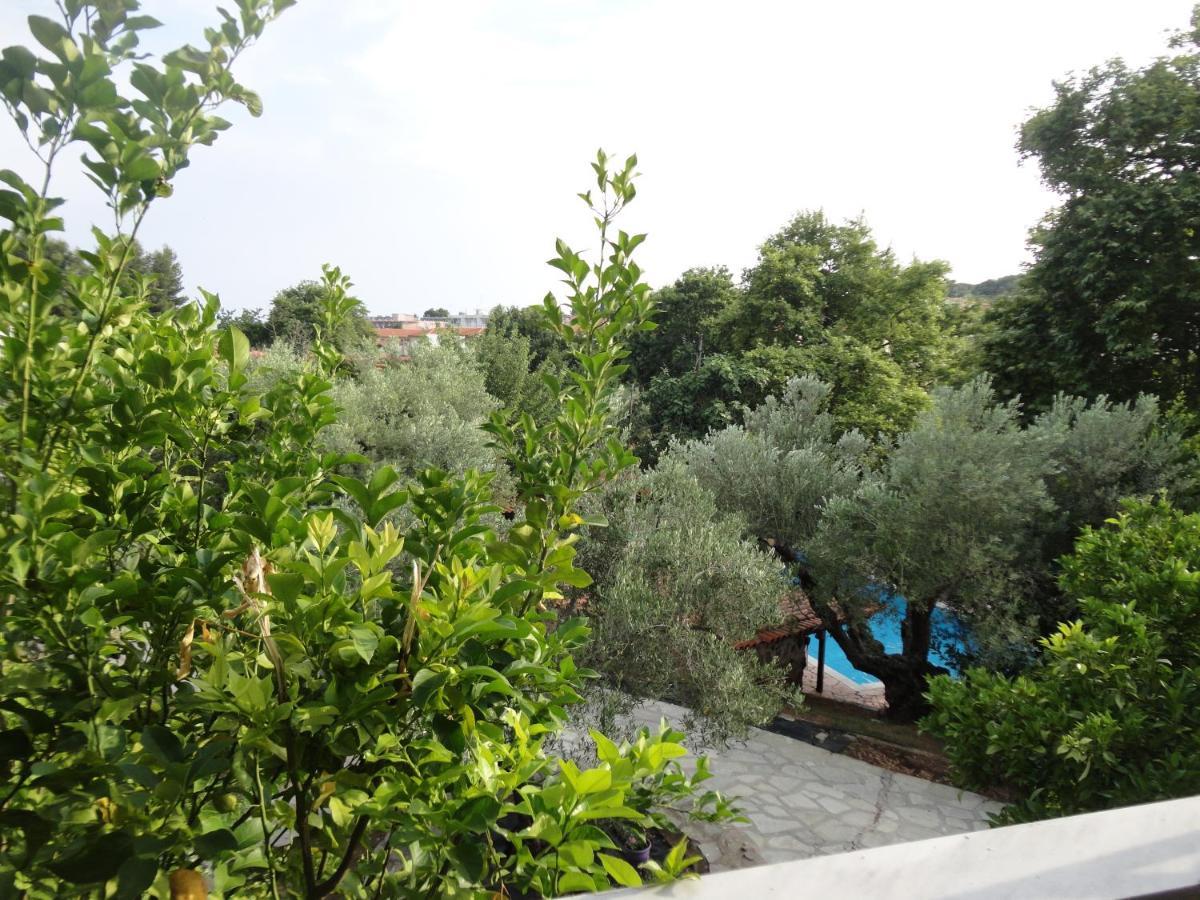 Makis House Hotell Nikiti  Exteriör bild